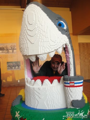 Boo at the Zoo: Lego Shark