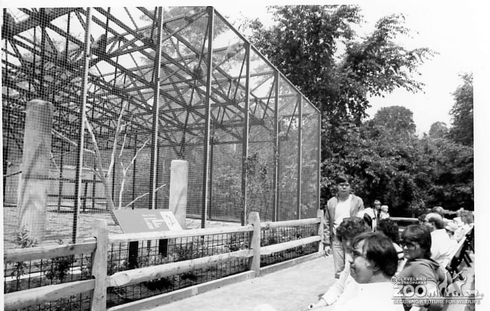 1985 - Monkey Exhibit 4