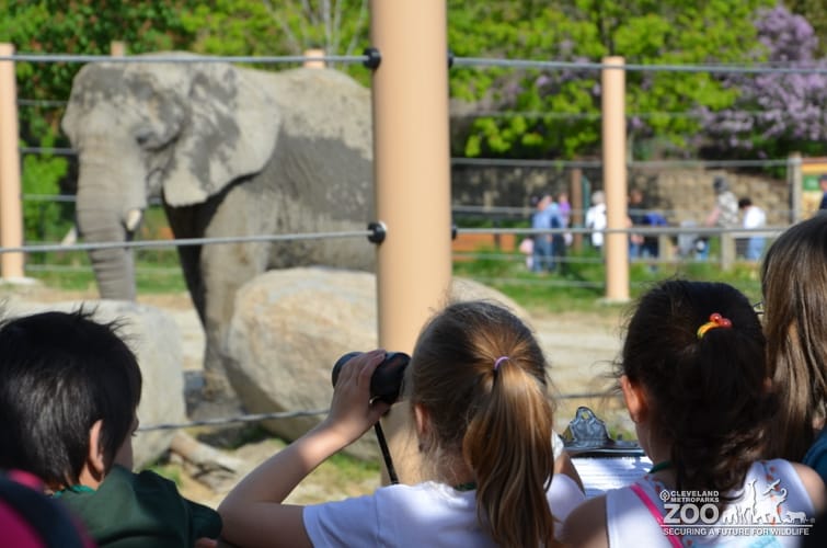 Kids Observing and Collecting Elephant Data