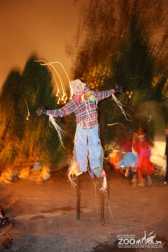 Boo at the Zoo: Scarecrow
