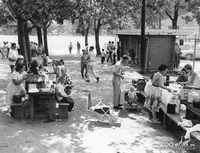 1950's - Picnic Area