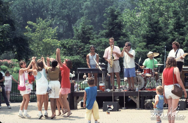 1989 - The Wave Radio 2