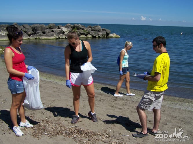 AIP Trash Collection at Edgewater Beach 2
