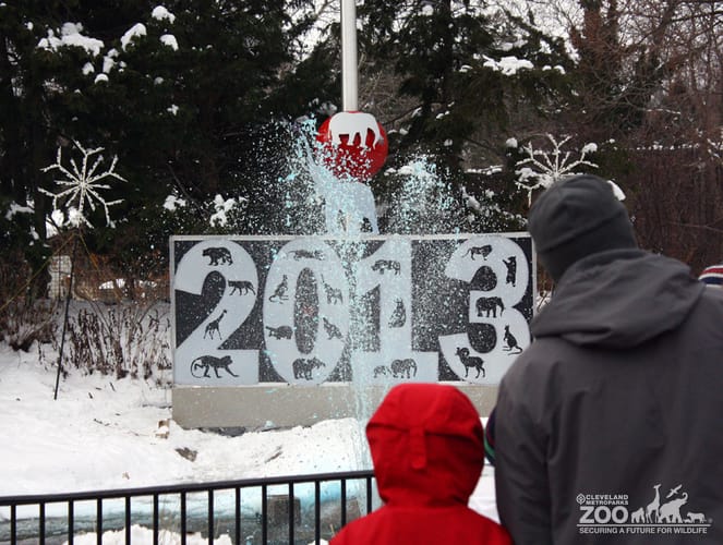 2013 - Noon Year's Eve - Ball Drop