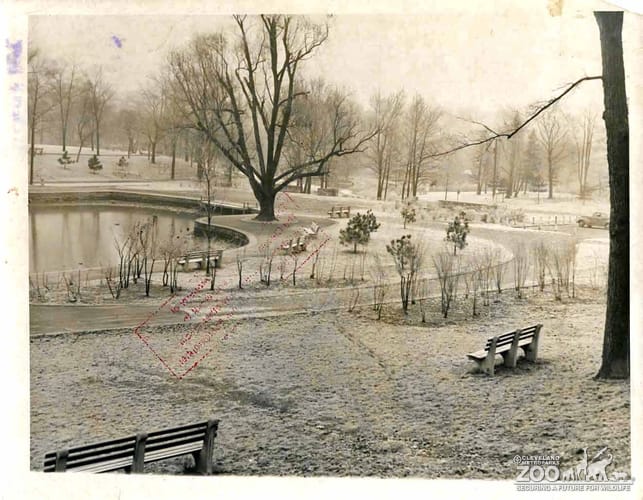 1943 - Waterfowl Lake