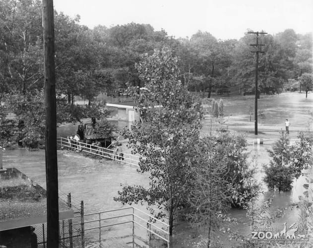 1959 - Workers Clear Flood Damage