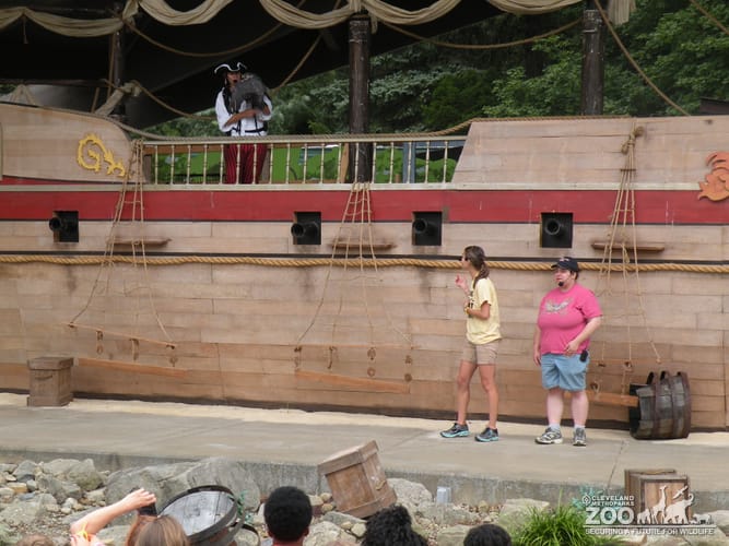 Professor Wylde Pirate Show