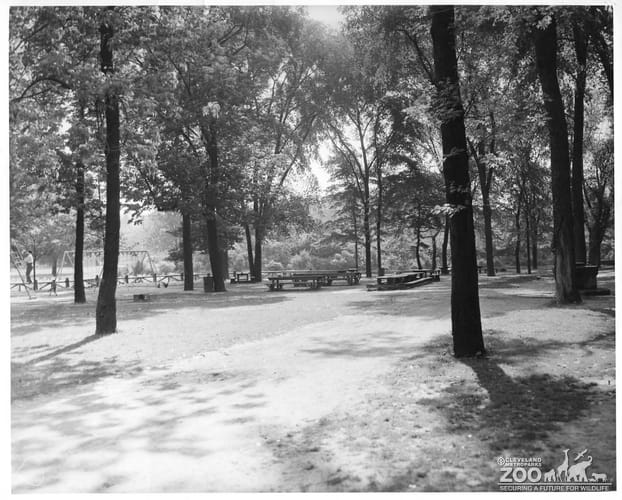 1948 - Picnic Area