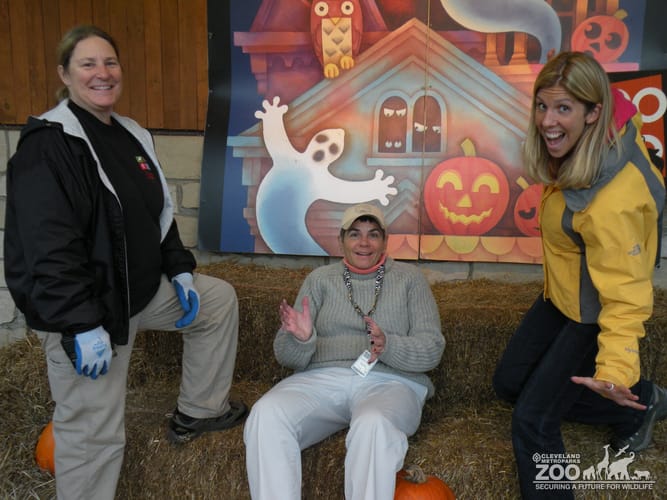2013 Boo at the Zoo