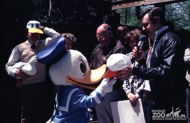 1984 - Donald Duck Day