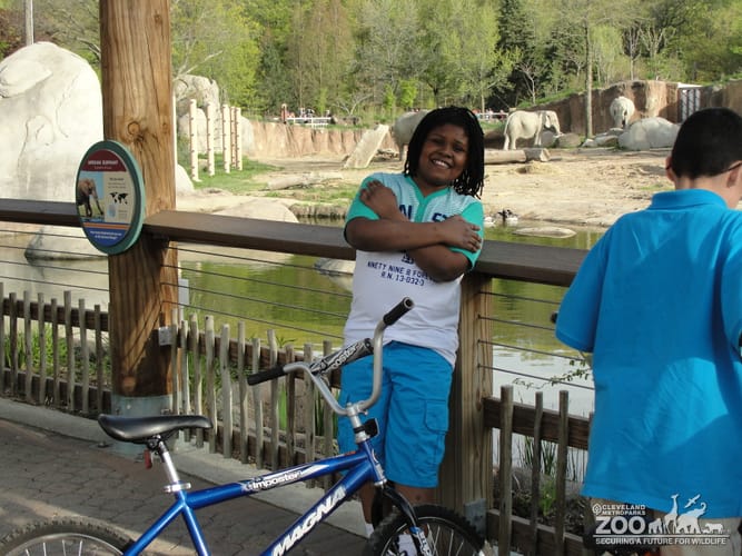 Visitor at African Elephant Crossing Exhibit during Wild Ride at the Zoo