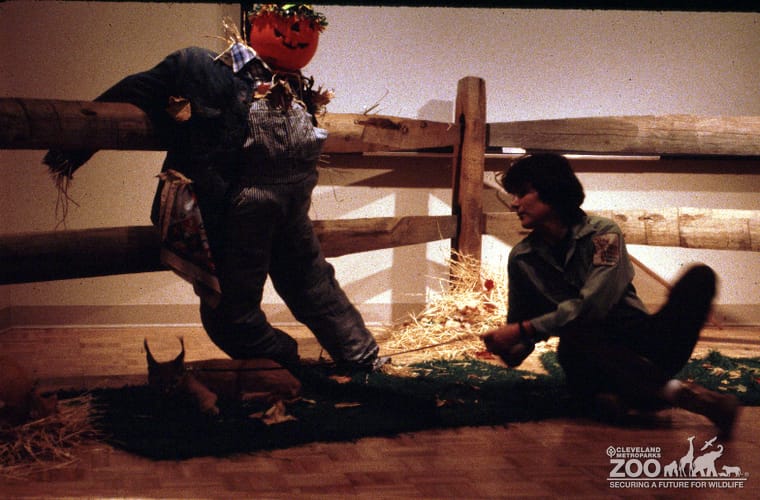 1988 - Start of "Boo"