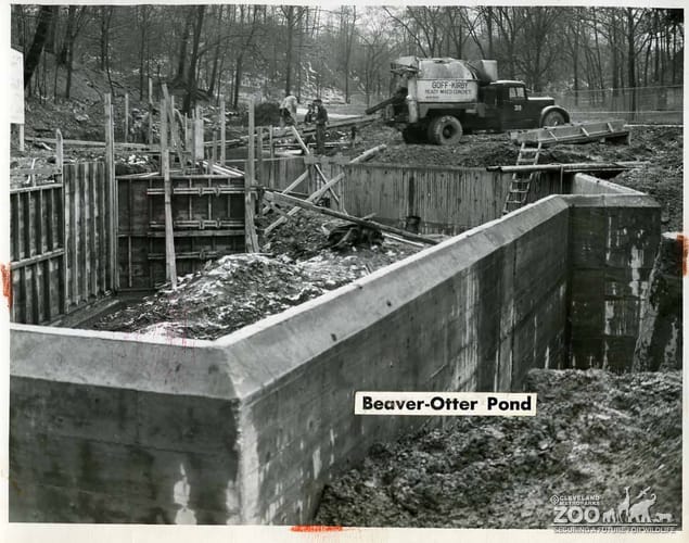 1950 - Beaver and Otter Pond Construction