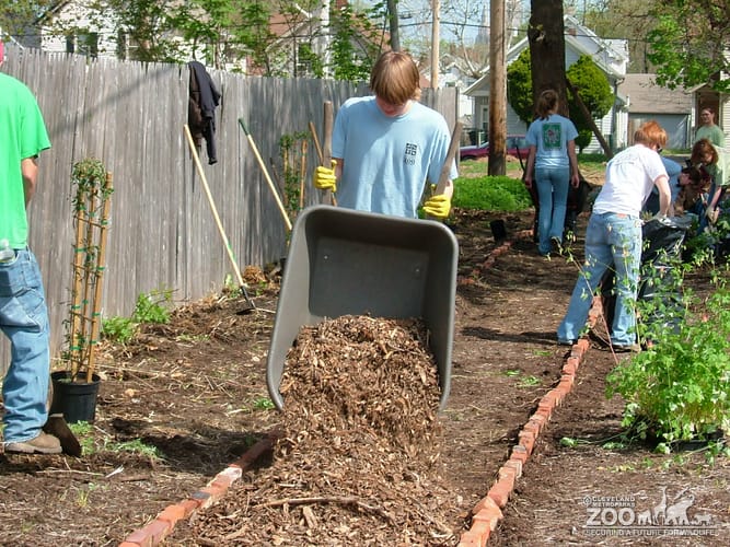 2009 Zoo Crew Naturehood 2