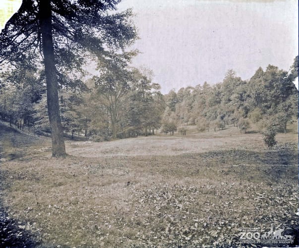 Photo of Brookside Park from the 1890's