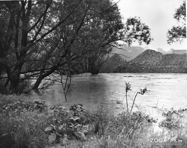 1959 - Flood Rushing Water (2)