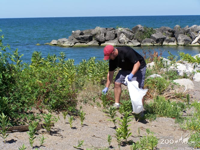 AIP Trash Collection at Edgewater Beach