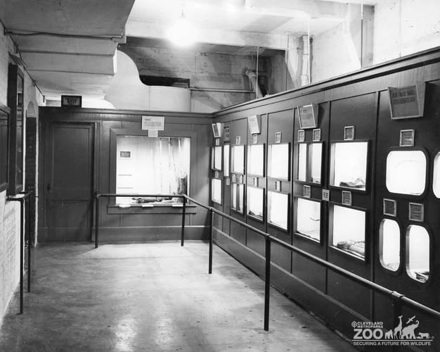 1959 - Reptile Collection (2)