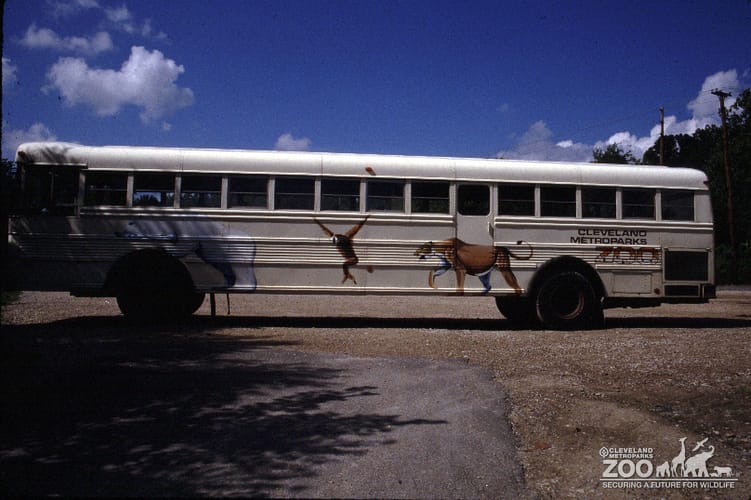 1984 - Zoo Bus 2