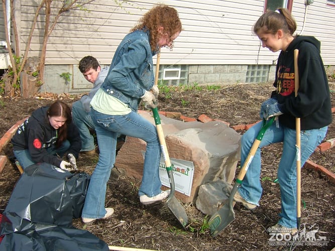 2009 Zoo Crew Naturehood 3