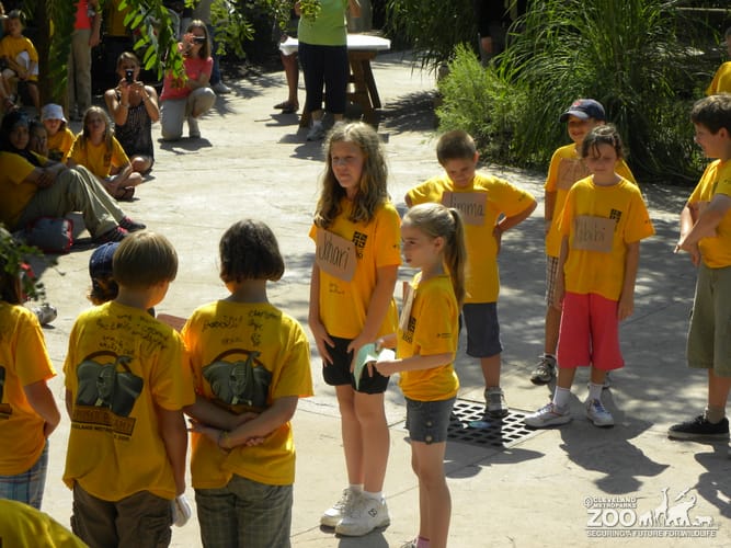 Summer Day Camp 2011 - 4