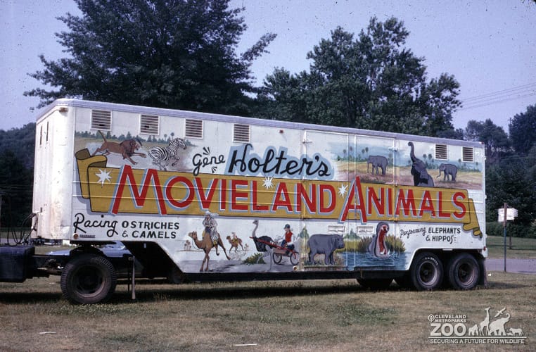 1966 - Movie Land Animals