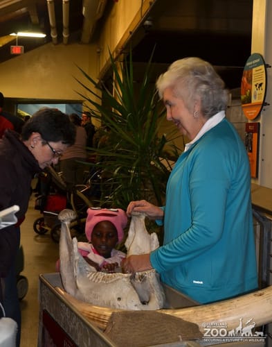 2011 Boo at the Zoo 3