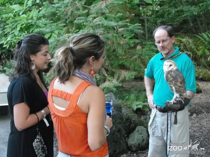 Visitors with Barn Owl at Twilight at the Zoo