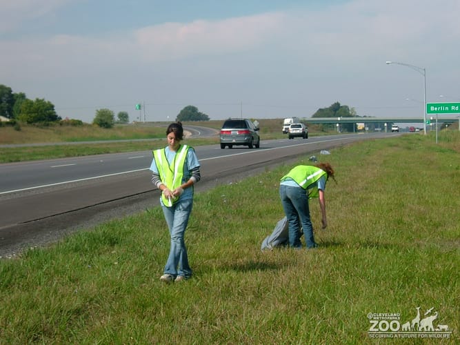 2008 Zoo Crew at OWC Cleanup