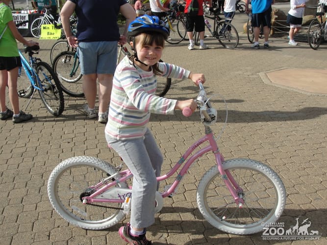 Zoo Visitor on Pink Bike during Wild Ride at the Zoo