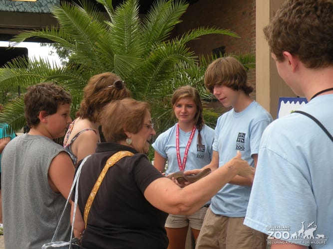 Zoo Crew Volunteers Speak to Guests