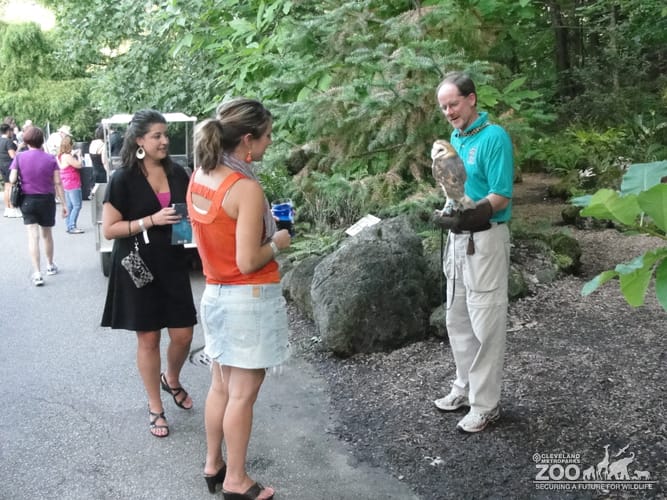 Visitors with Barn Owl at Twilight at the Zoo (2)